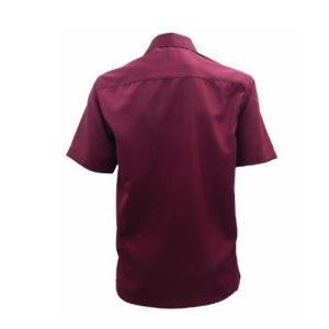 UC-8233-Corporate-Shirt-Back